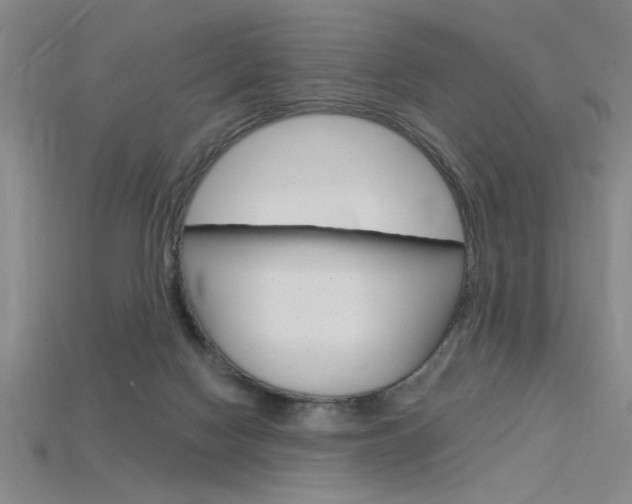 X0000115810074200911131051