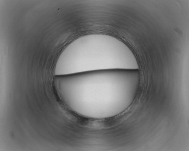 X0000115810078200911131051