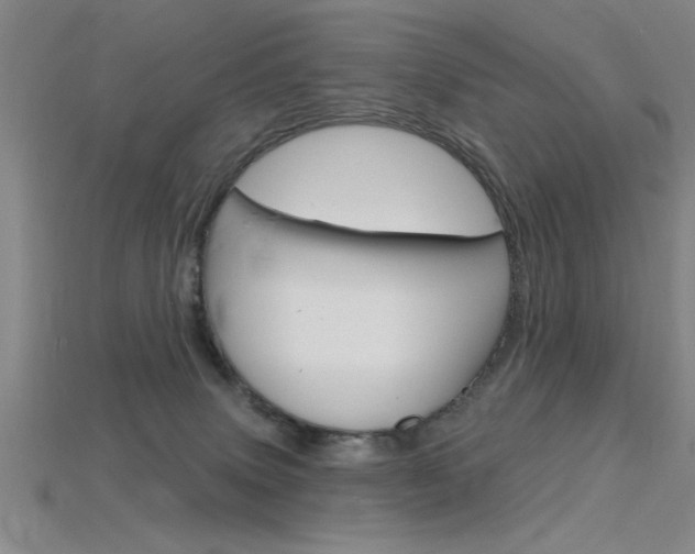 X0000115810083200911131051