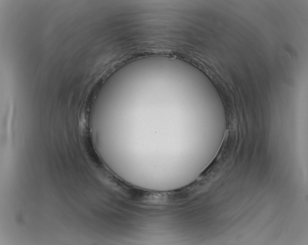 X0000115810084200911131051