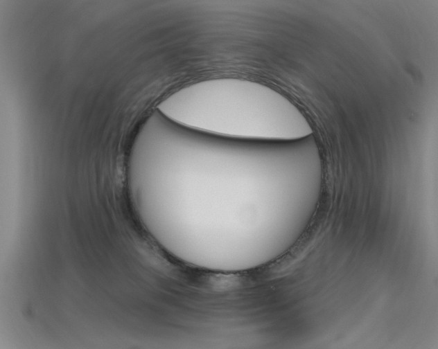 X0000115810085200911131051