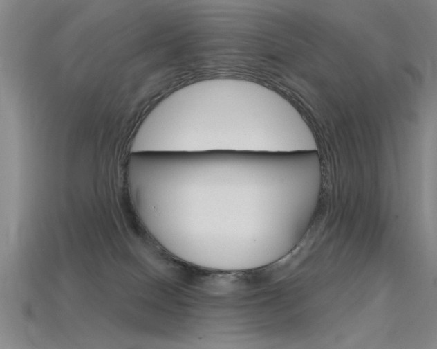 X0000115810086200911131051