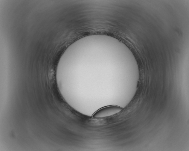 X0000115810087200911131051