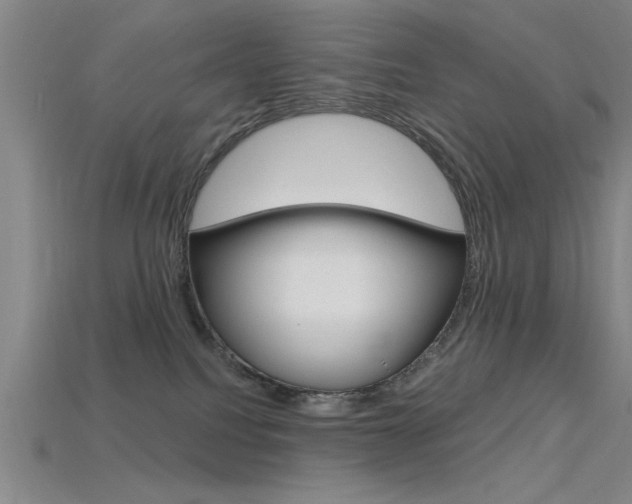 X0000115810088200911131051