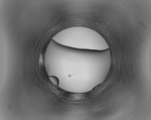 X0000115810089200911131051
