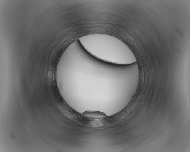 X0000115810091200911131051