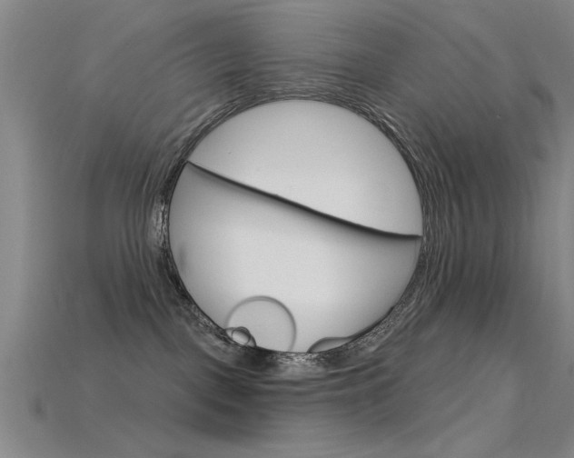 X0000115810093200911131051
