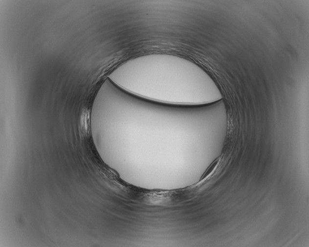 X0000115810094200911131051