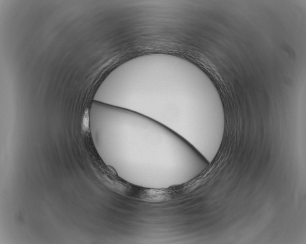 X0000115810095200911131051