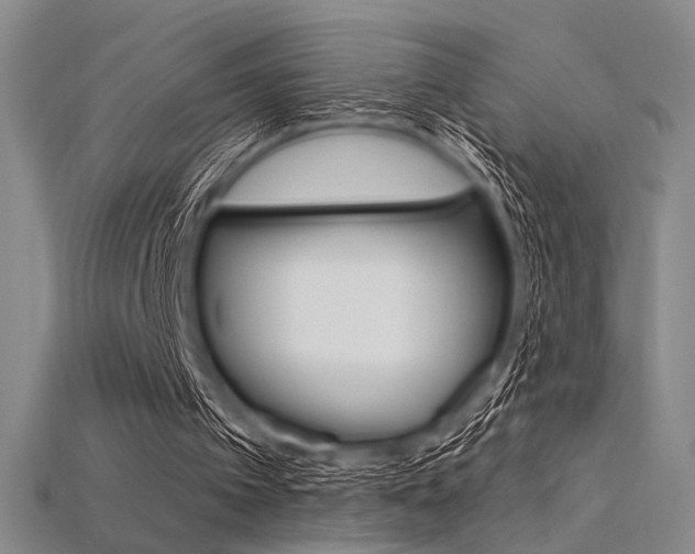 X0000115810097200911131050