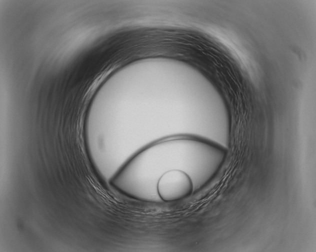 X0000115810099200911131050