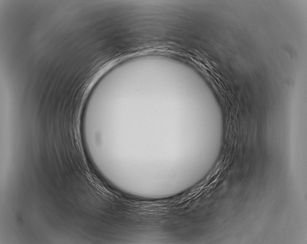 X0000115810100200911131050