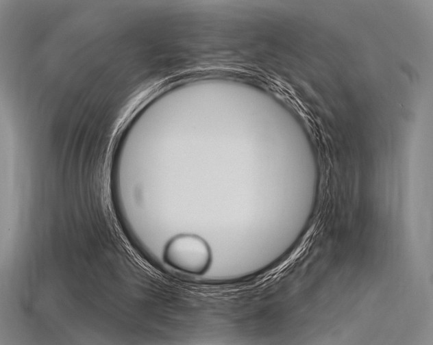 X0000115810101200911131050