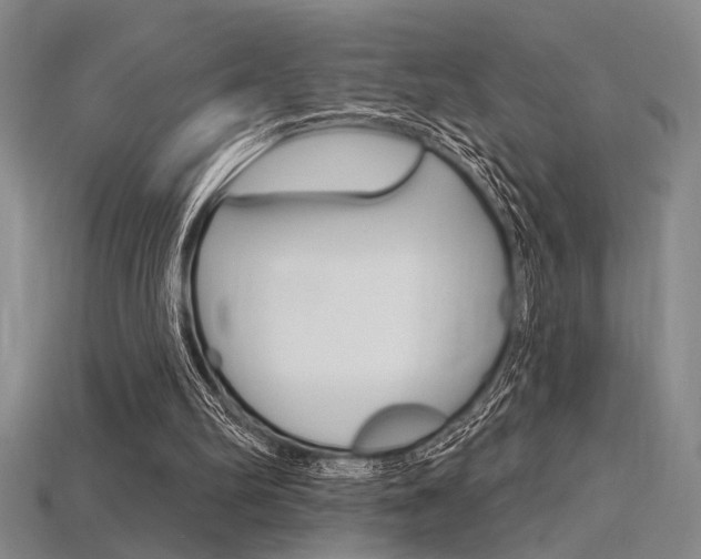 X0000115810102200911131050