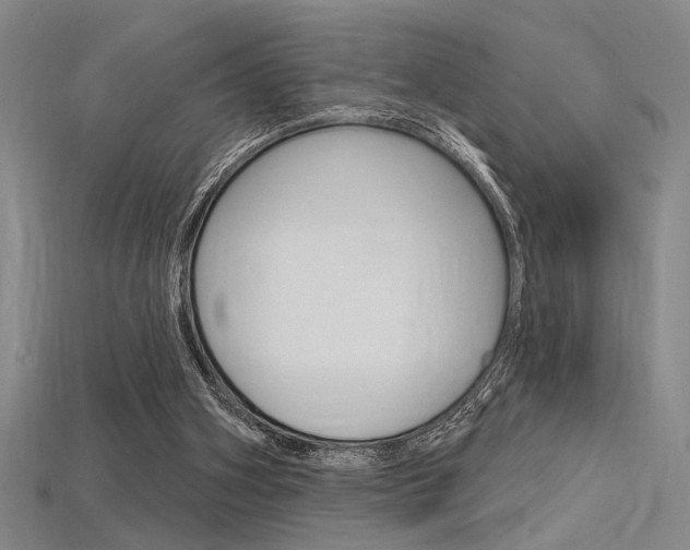 X0000115810106200911131050