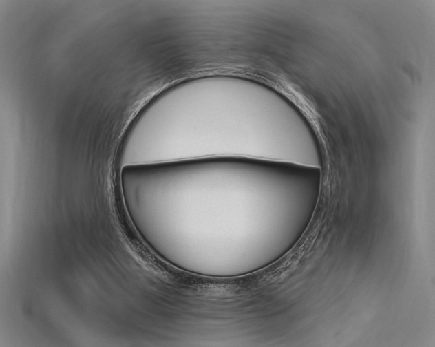 X0000115810107200911131050