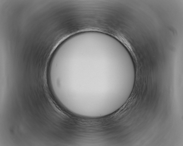 X0000115810108200911131050