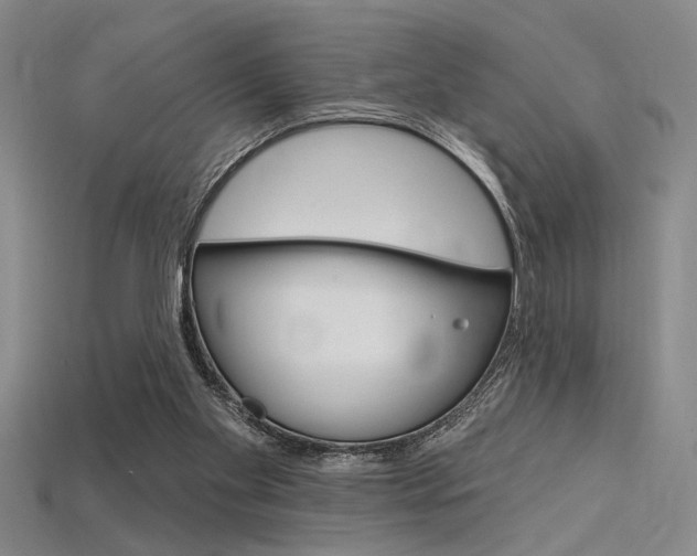 X0000115810109200911131050