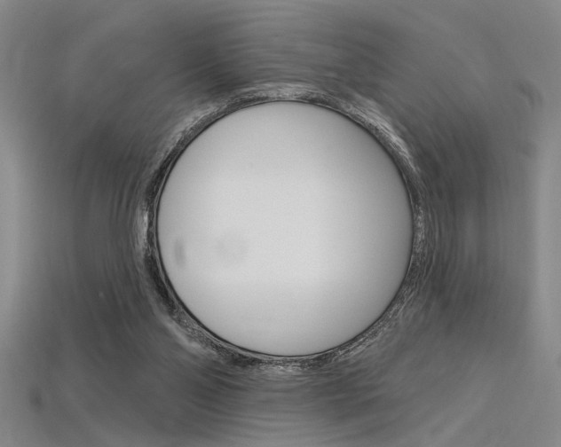 X0000115810110200911131050
