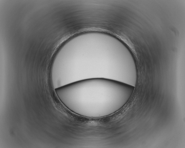 X0000115810111200911131050