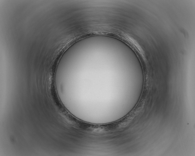 X0000115810113200911131050