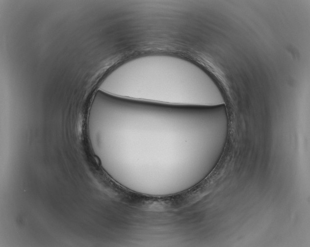 X0000115810115200911131050