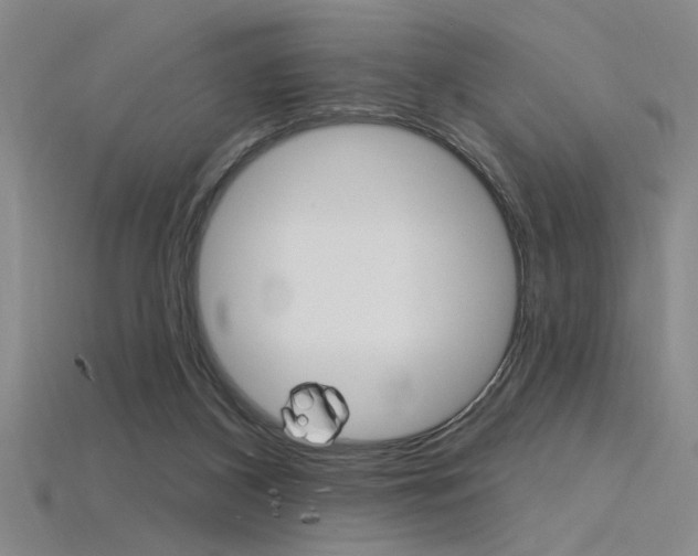 X0000115810116200911131050