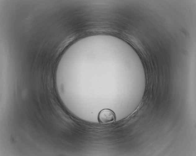 X0000115810120200911131050