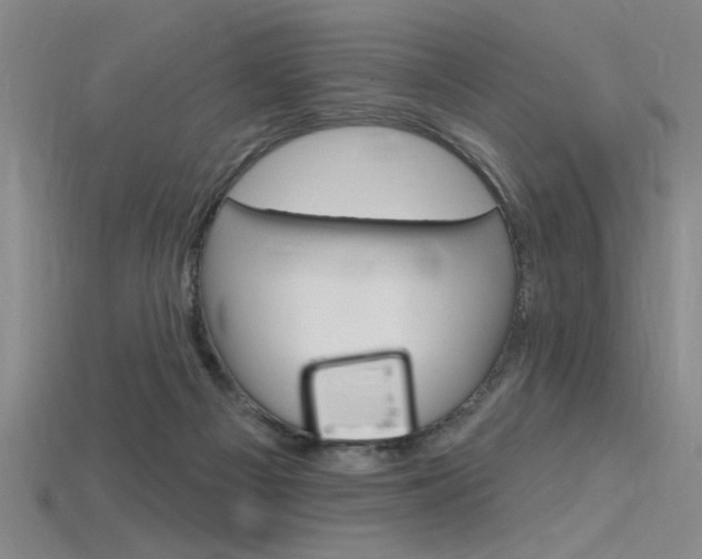 X0000115810121200911131050