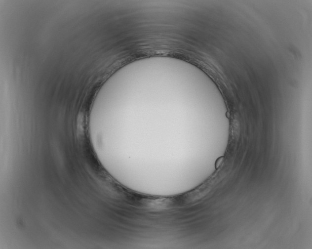 X0000115810122200911131050