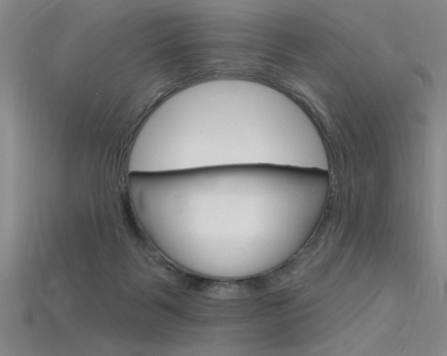 X0000115810123200911131050