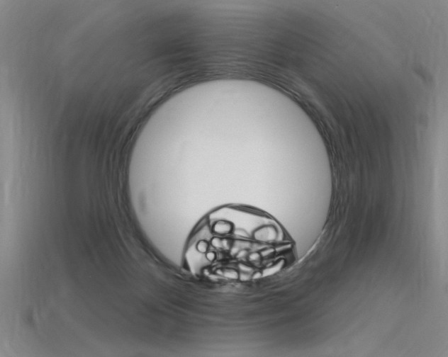 X0000115810124200911131050