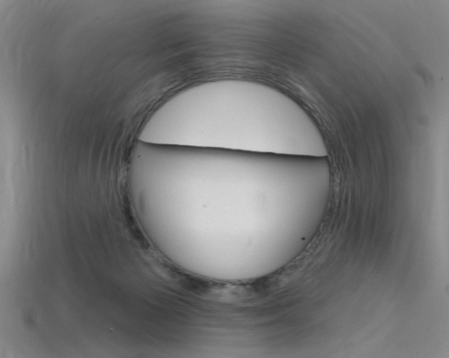 X0000115810125200911131050