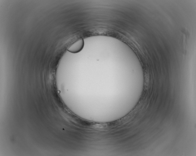 X0000115810126200911131050