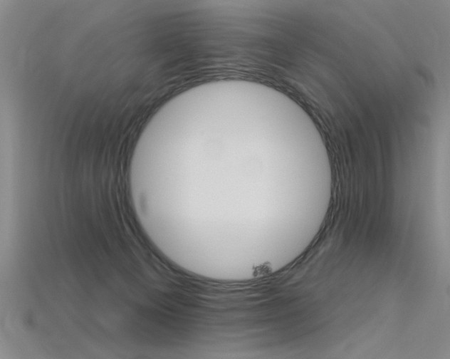 X0000115810129200911131050