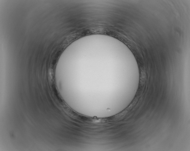 X0000115810130200911131050