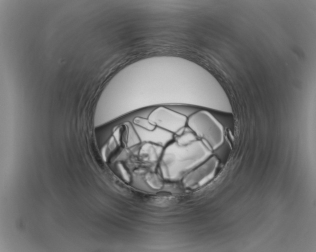 X0000115810136200911131050