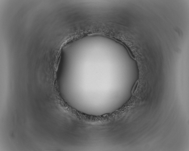 X0000115810144200911131050