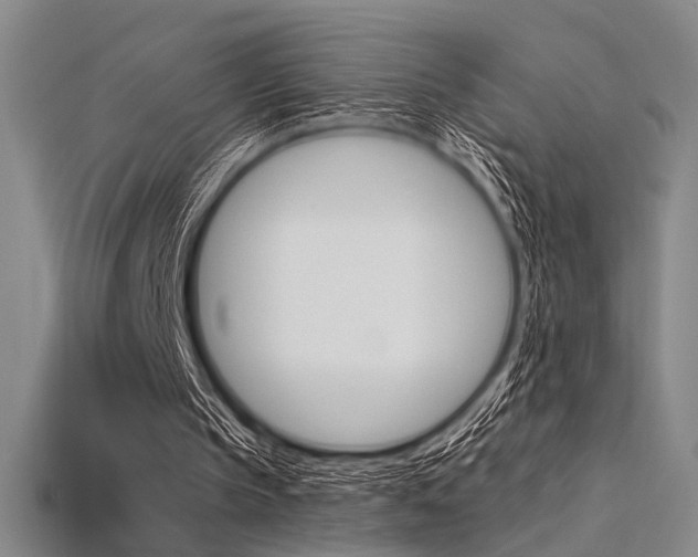 X0000115810145200911131049
