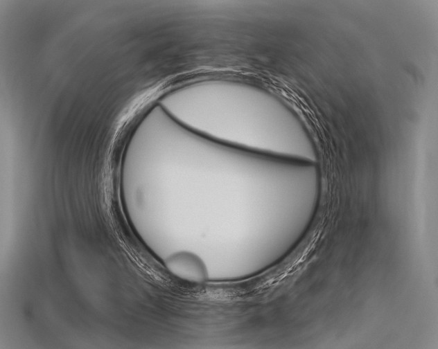 X0000115810149200911131049