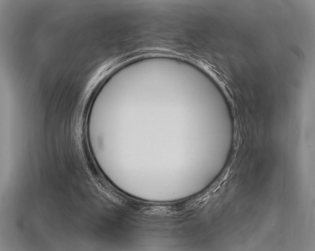 X0000115810151200911131049