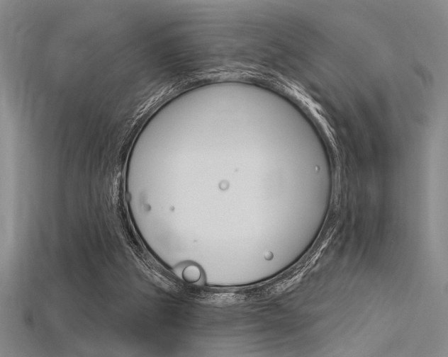 X0000115810153200911131049