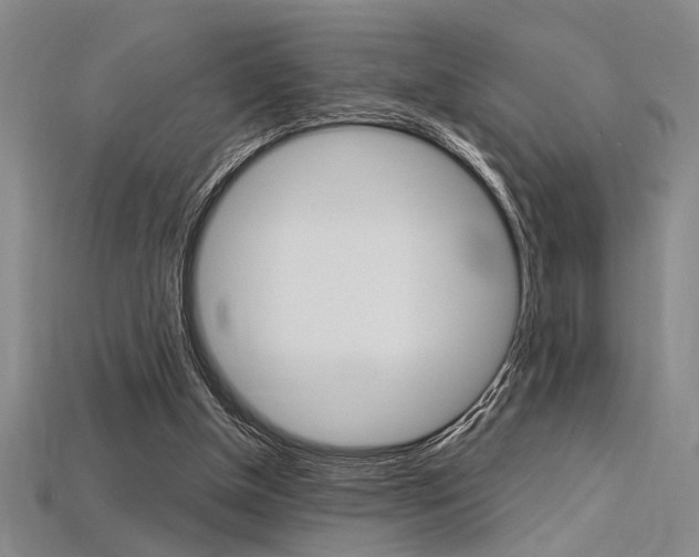 X0000115810154200911131049
