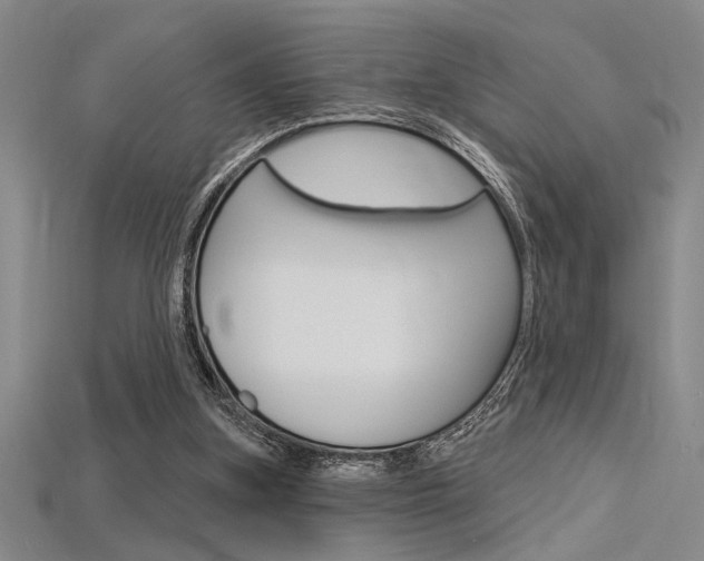 X0000115810155200911131049