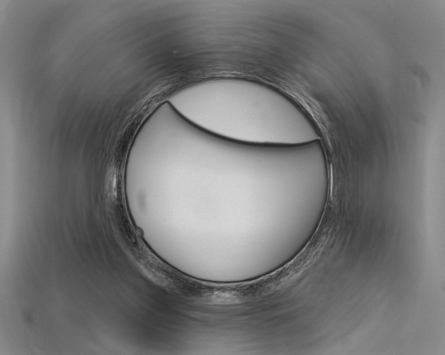 X0000115810157200911131049