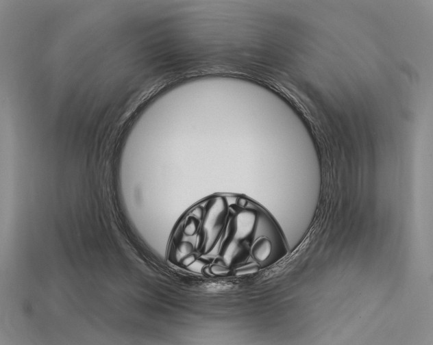 X0000115810158200911131049