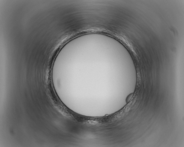X0000115810159200911131049