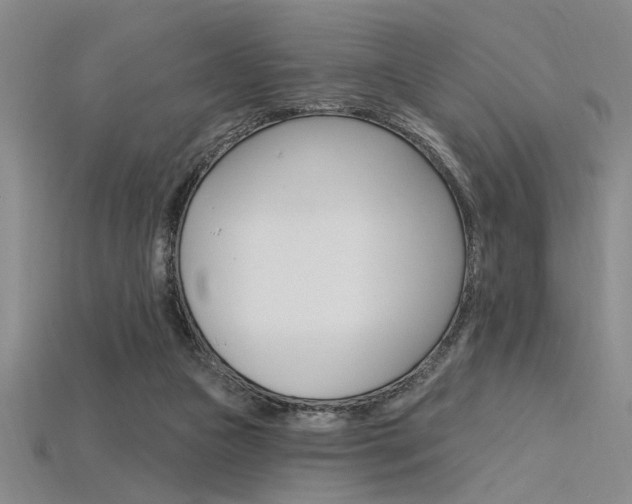 X0000115810161200911131049