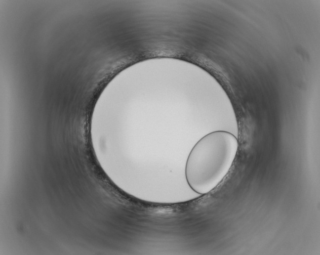 X0000115810162200911131049