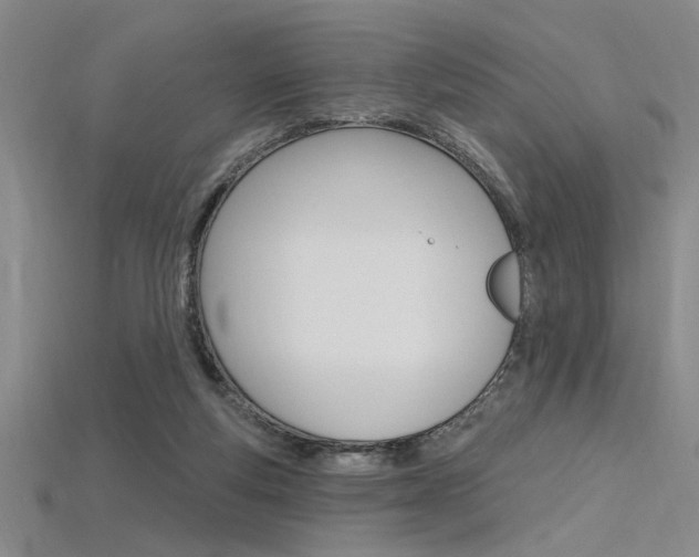 X0000115810163200911131049